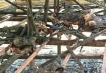 ফরিদপুর ভাঙ্গায় আগুনে পুড়ল তরুণ উদ্যোক্তাদের স্বপ্ন, আগুনে পুড়ল ৩৬টি ছাগল।