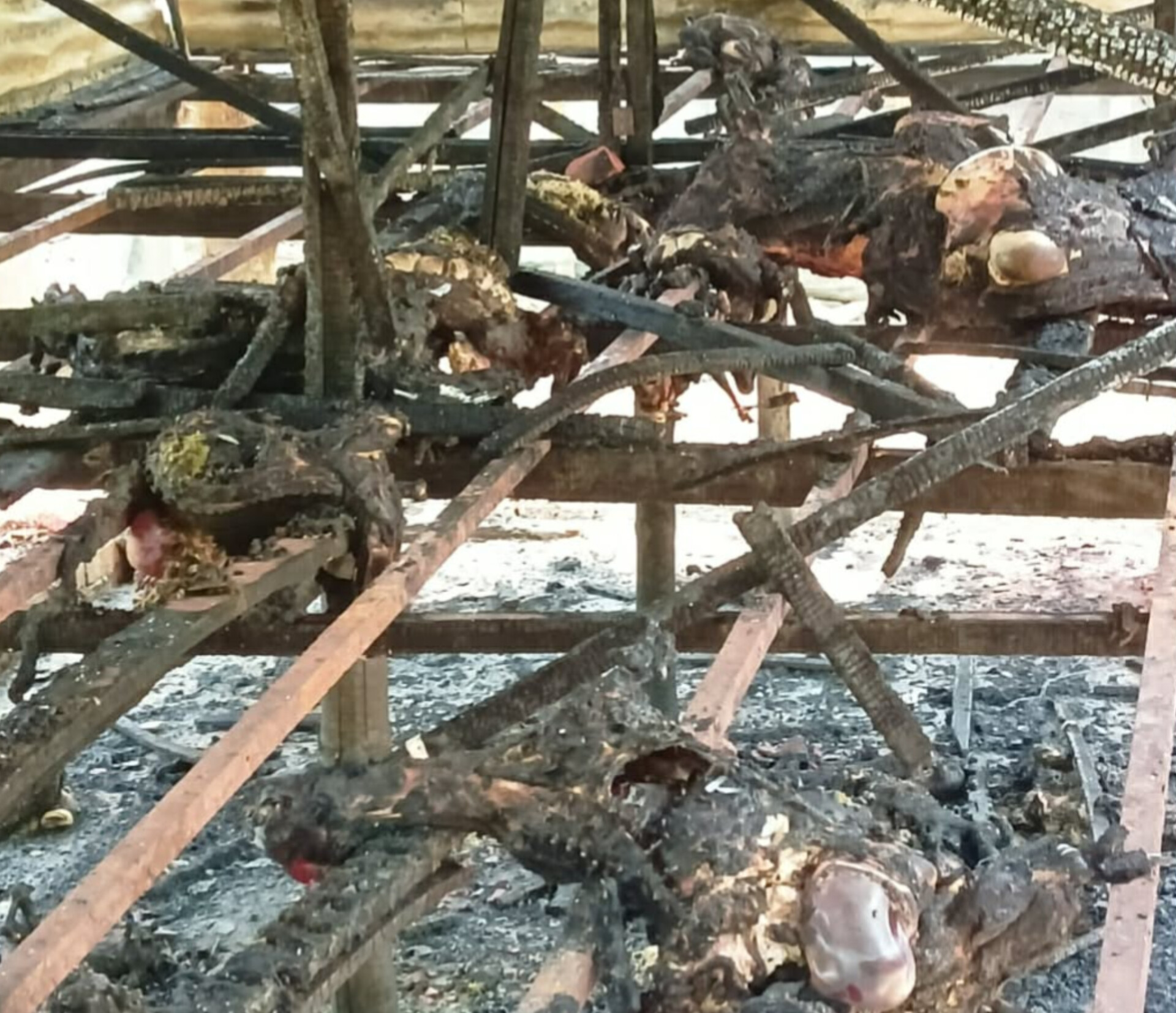 InShot_20260330_071112092