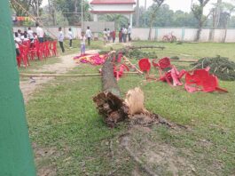 কুমিল্লা পাঁচোড়া মাধ্যমিক বিদ্যা নিকেতন স্কুলে এসএসসি পরীক্ষার্থীদের বিদায় অনুষ্ঠানে গাছ উপড়ে ৩ শিক্ষার্থী আহত।