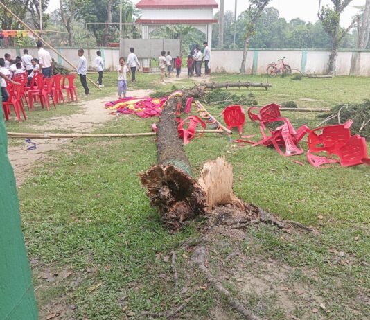 কুমিল্লা পাঁচোড়া মাধ্যমিক বিদ্যা নিকেতন স্কুলে এসএসসি পরীক্ষার্থীদের বিদায় অনুষ্ঠানে গাছ উপড়ে ৩ শিক্ষার্থী আহত।