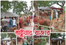 সরকার রাজস্ব বঞ্চিত লাখ লাখ টাকা, দরপত্র ছাড়াই চলছে কুমিল্লা বুড়িচং ‘লাটুয়ার বাজার’।
