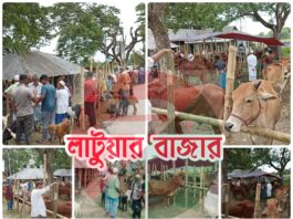 সরকার রাজস্ব বঞ্চিত লাখ লাখ টাকা, দরপত্র ছাড়াই চলছে কুমিল্লা বুড়িচং ‘লাটুয়ার বাজার’।