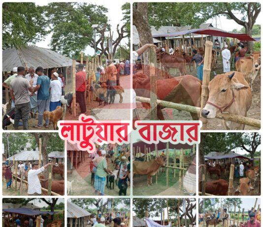 সরকার রাজস্ব বঞ্চিত লাখ লাখ টাকা, দরপত্র ছাড়াই চলছে কুমিল্লা বুড়িচং ‘লাটুয়ার বাজার’।